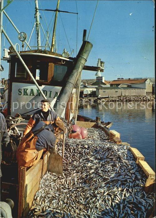 Fischerei Havets silver lossas Schweden