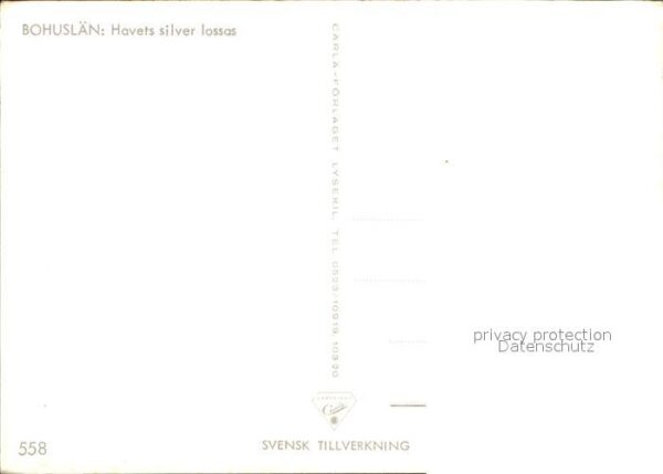 Fischerei Bohuslän Havets silver lossas – Bild 2