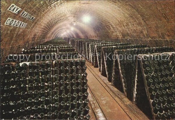 Wein Cavas Codorniu Botellas en pupitre