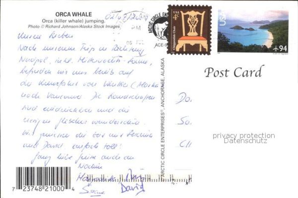 Wal Orca Whale Alaska – Bild 2