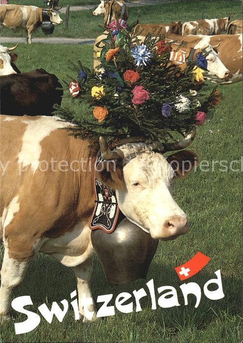 Kuehe Schweiz