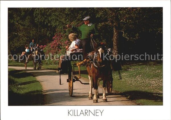 Pferdekutschen Irish Jaunting Car Killarney