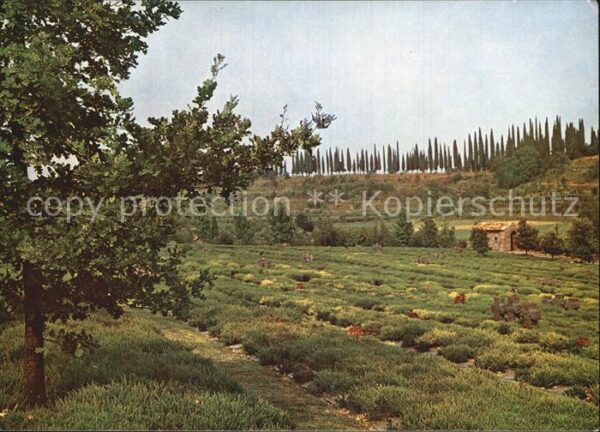 Friedhof Deutscher Soldatenfriedhof Costermano I