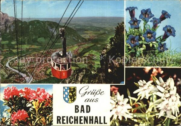 Seilbahn Bad Reichenhall Edelweiss Enzian Alpenr