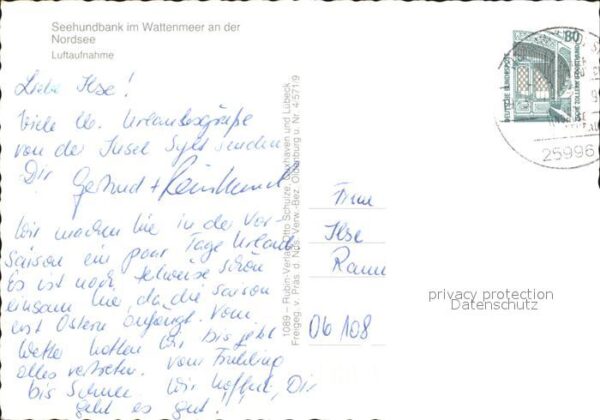 Seehunde Robben Seehundbank Wattenmeer Nordsee Fliegera – Bild 2