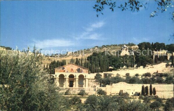 Jerusalem Yerushalayim Basilica of the Agony