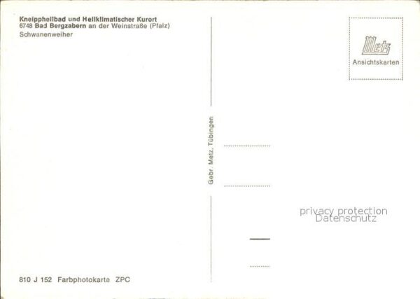 Bad Bergzabern Schwanenweiher mit Schwänen – Bild 2
