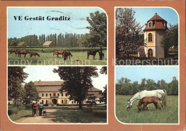 Graditz VE Gestüt Pferde