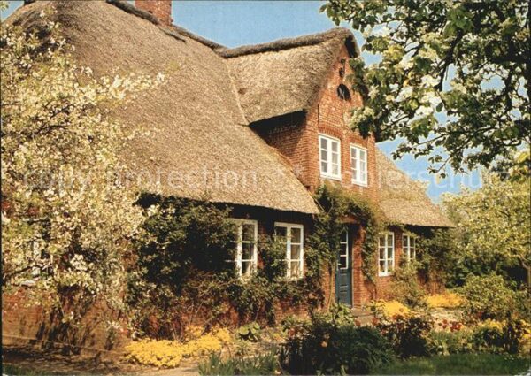 Amrum Schönes Friesenhaus