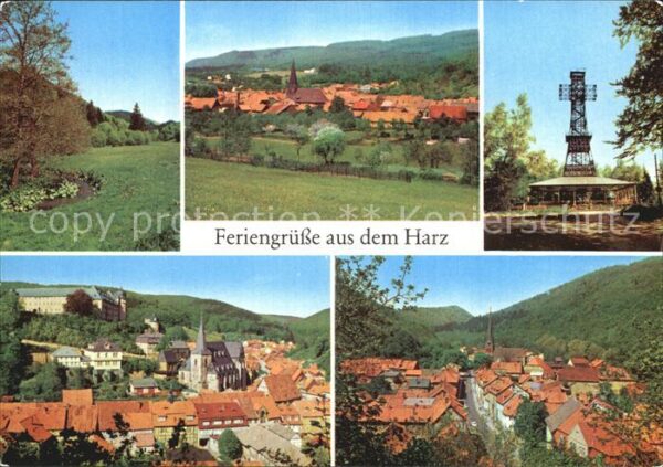 Netzkater Neustadt Josephshöhe bei Stolberg Ilfel
