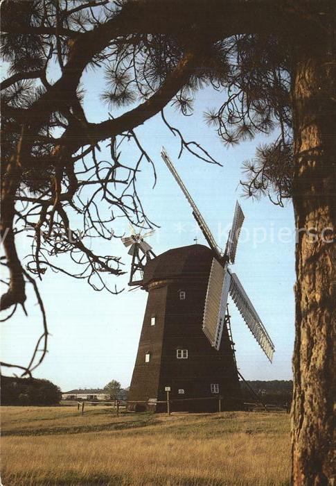 Alt Schwerin Erdholländermühle