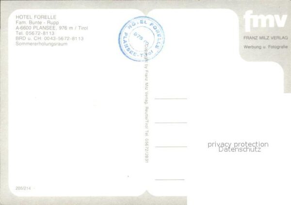 Plansee Hotel Forelle Terrasse – Bild 2