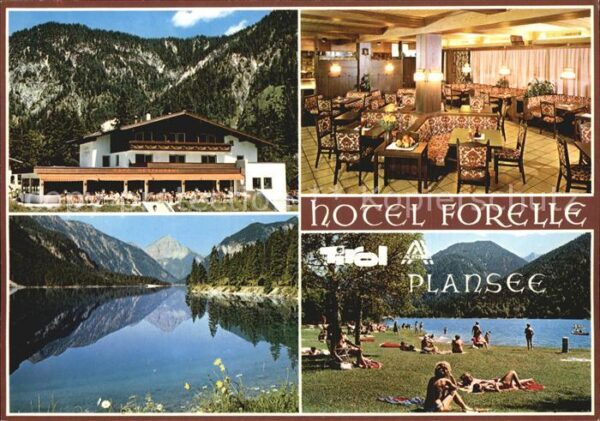 Plansee Hotel Forelle Gastraum Seeblick Liegewi