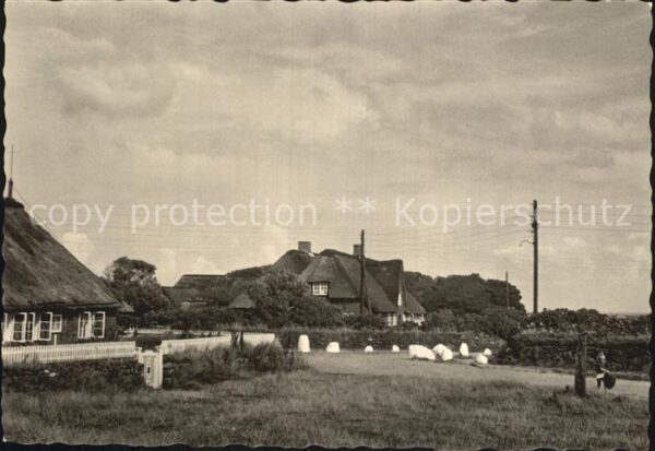 Kampen Sylt Friesenhäuser