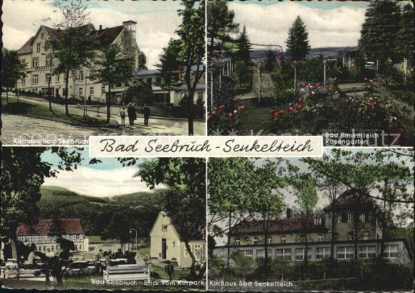 Bad Seebruch Kurhaus Kurpark Bad Senkelteich Rosenga