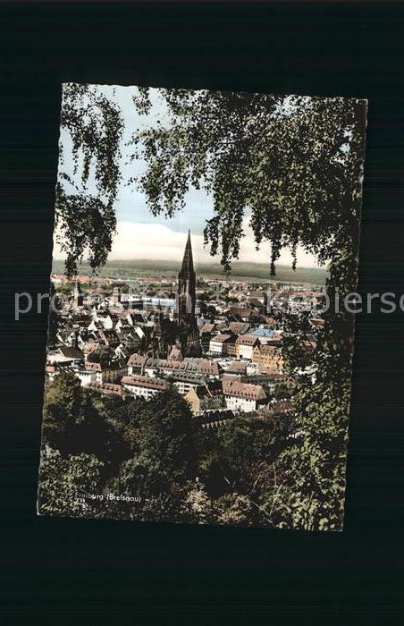 Freiburg Breisgau Panorama mit Münster