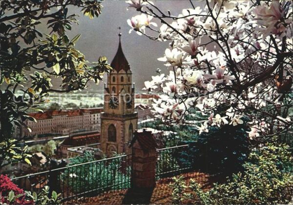 Merano Meran Kirche Baumblüte