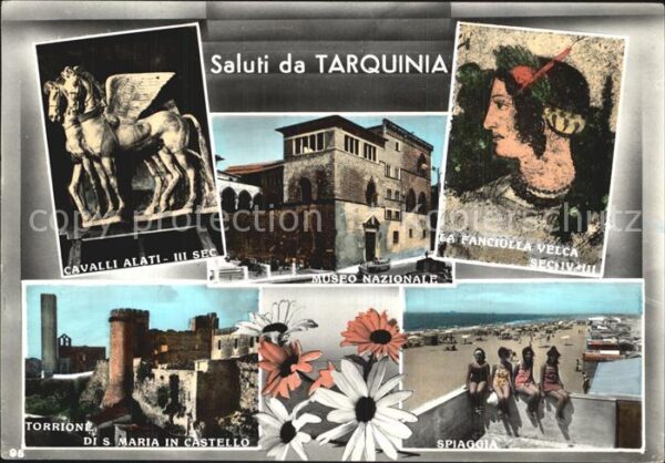 Tarquinia Cavalli Alati Museo Nazionale La Fankci