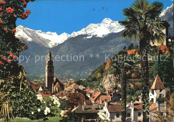 Meran Merano mit Texelgruppe