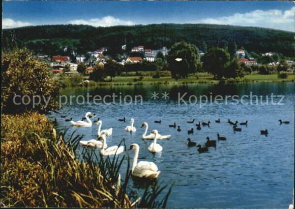 Bad Koenig Odenwald Partie im neuen Kurpark