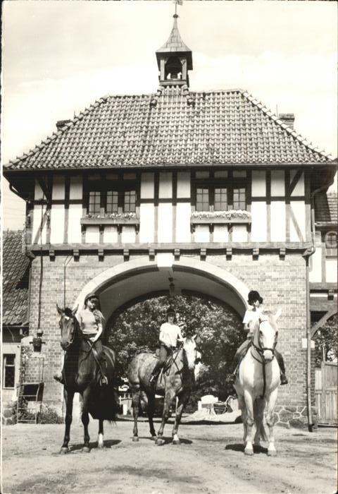 Kadyny Gestüt