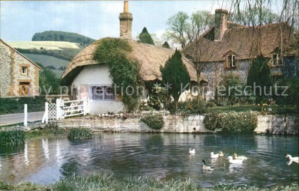 Singleton A village pond