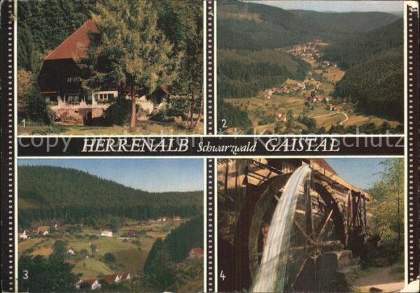 Herrenalb Bad Herrenalb Schwarzwaldhaus Blick vom Schweitzerkop