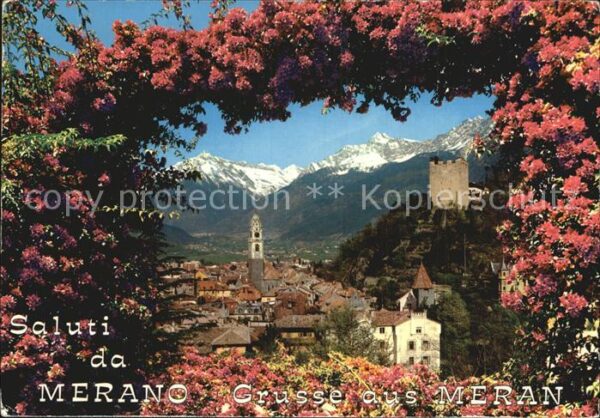 Merano Meran Panorama