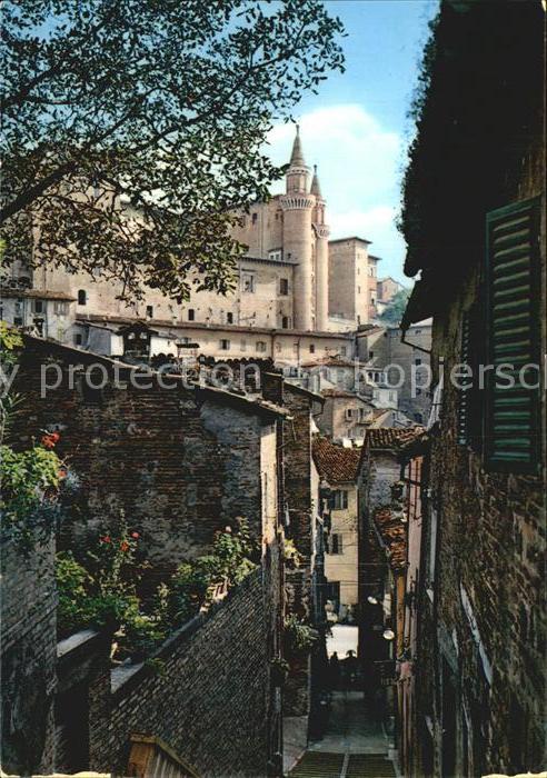 Urbino Torricini visti da S Giovanni