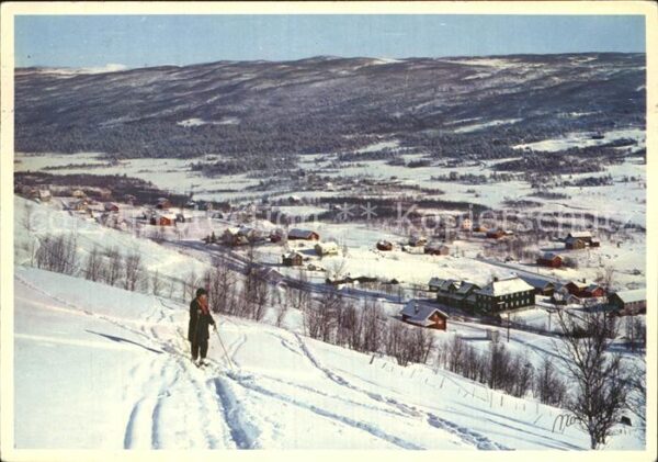 Geilo Bergensbanen Parti fra Ustedalen
