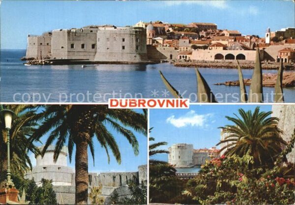 Dubrovnik Ragusa Panorama Schloss Palmen