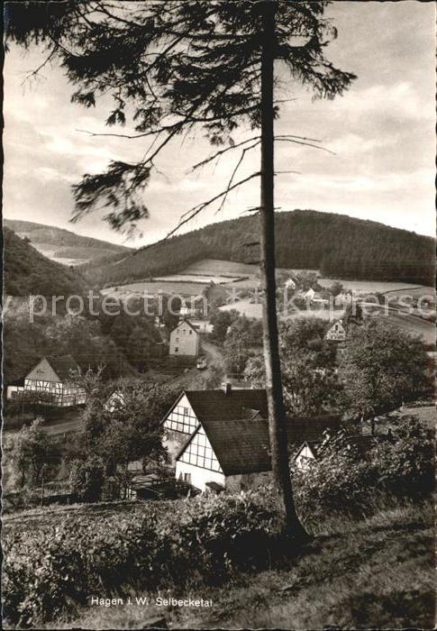 Hagen Westfalen Panorama Selbecketal