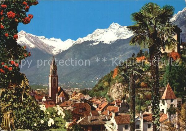 Meran Merano mit Kirche und Texelgruppe