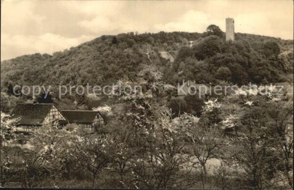 Tautenburg Teilansicht mit Burgruine