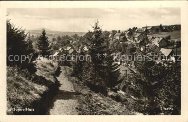 Tanne Harz Wanderweg Blick auf den Ort