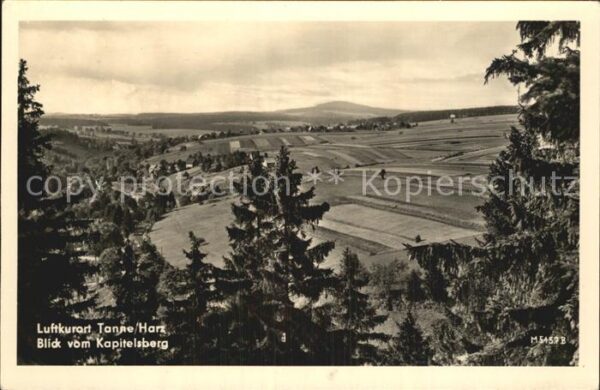 Tanne Harz Panorama Blick vom Kapitelsberg