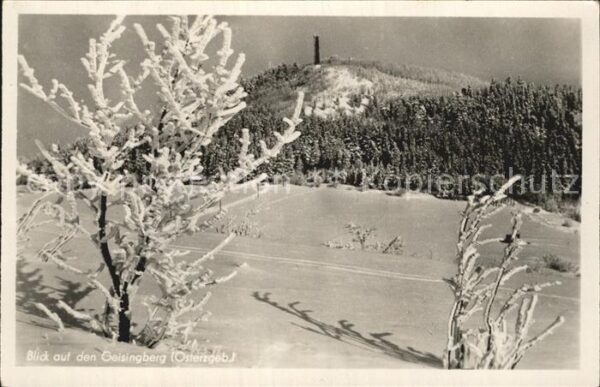 Geising Erzgebirge Blick auf den Geisingberg Winterpanoram