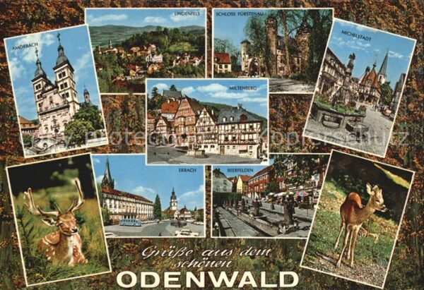 Odenwald Verschiedene Städe der Region Rehkitz W
