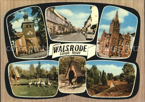 Walsrode Lueneburger Heide Teilansichten Turm Kirche Vogelpark Hei