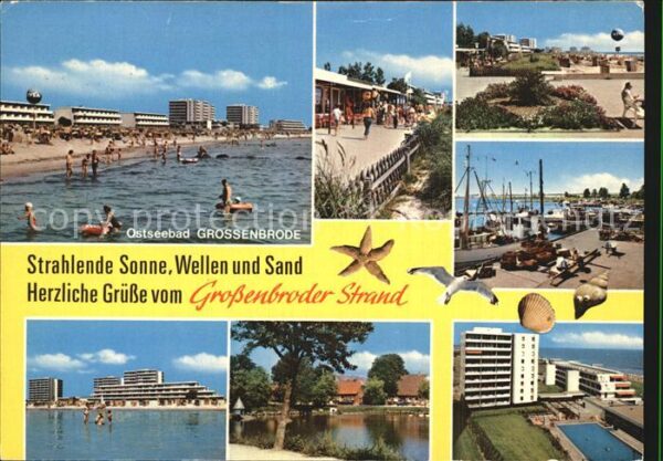 Grossenbrode Ostseebad Strand Hotels Hafen Promenade Möwe Meer