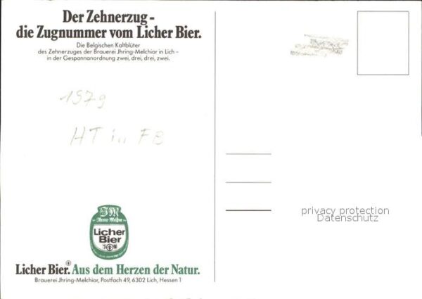 Lich Hessen Zehnerzug Licher Bier Belgische Kaltblü – Bild 2