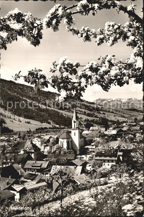 Hindelang Panorama