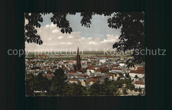 Freiburg Breisgau Münster