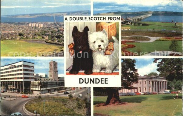 Dundee City Fliegeraufnahme Scotch Hunde