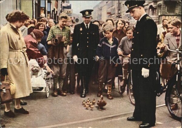 Kopenhagen Strassenszene mit Entenfamilie