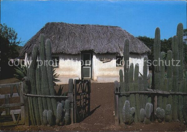 Curacao Niederlaendische Antillen Straw covered cottage kunuku-house