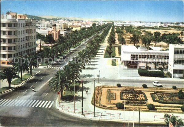 Tunis Avenue Mohamed