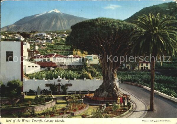 Icod de los Vinos Tenerife