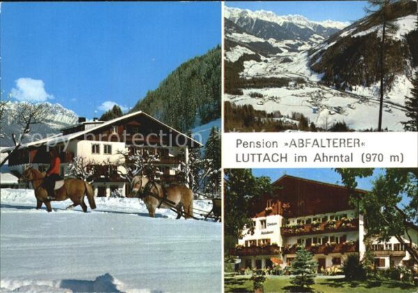 Luttach Ahrntal Suedtirol Pension Abfalterer Pferde