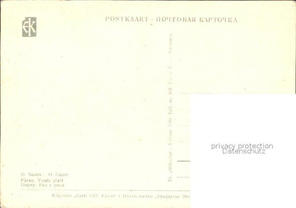 Paernu Künstlerkarte Brückenpartie – Bild 2